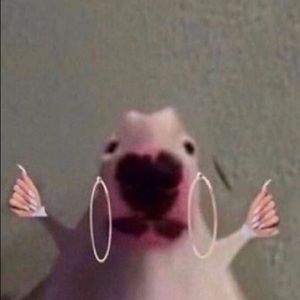 Meet your Posher, Mali